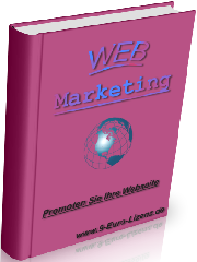 Web Marketing 